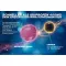 Thomapyrin TENSION DUO 400 mg / 100 mg tabletki powlekane, 12 szt