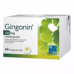 GINGONIN Kapsułki twarde 120 mg, 60 szt