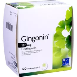 GINGONIN Kapsułki twarde 120 mg, 120 szt