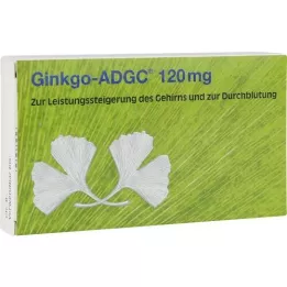 GINKGO ADGC Tabletki powlekane 120 mg, 20 szt