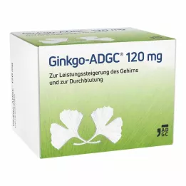 GINKGO ADGC Tabletki powlekane 120 mg, 120 szt