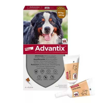 ADVANTIX Roztwór do nakrapiania dla psów o masie ciała 40-60 kg, 4X6,0 ml