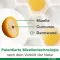 Kurkumina-Loges plus kapsułki Boswellia, 120 sztuk