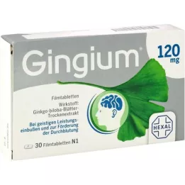 GINGIUM Tabletki powlekane 120 mg, 30 szt