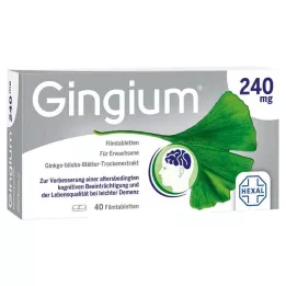 GINGIUM Tabletki powlekane 240 mg, 40 szt