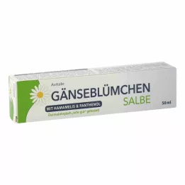 GÄNSEBLÜMCHEN Maść z oczaru wirginijskiego &amp; Pantenol, 50 ml