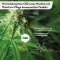 RUBAXX Konopie indyjskie CBD Żel, 120 g