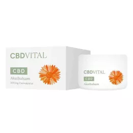 CBD VITAL Ostry balsam, 50 ml