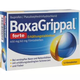 BOXAGRIPPAL forte Cold Tab. 400 mg/60 mg FTA, 12 szt