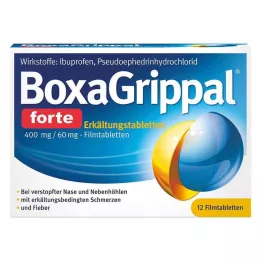 BOXAGRIPPAL forte Cold Tab. 400 mg/60 mg FTA, 12 szt