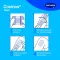 COSMOS paski gipsowe aqua 3 rozmiary, 20 szt