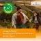Desloratadyna HEUMANN 5 mg tabletki powlekane, 20 szt