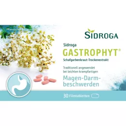 SIDROGA GastroPhyt 250 mg tabletki powlekane, 30 szt
