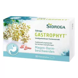 SIDROGA GastroPhyt 250 mg tabletki powlekane, 30 szt