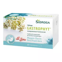 SIDROGA GastroPhyt 250 mg tabletki powlekane, 60 szt