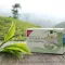 H&S Organiczna zielona herbata z worka filtrującego Darjeeling, 20X2 g