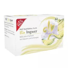 H&amp;S Organiczny worek filtrujący do imbiru, 20X2 g