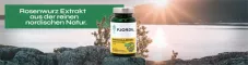 Instructions for use for Kapsułki Fjordil Rhodiola Rosea (90 sztuk) - 1