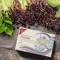 H&amp;S Czarny bez z witaminą C i cynkowym workiem filtrującym, 20X2,5 g