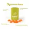 Ipalat Pastilles Flavour Edition Ogenmelon (40 sztuk)