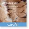 CAPSTAR 57 mg tabletki dla dużych psów, 1 szt