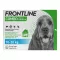 FRONTLINE COMBO na kleszcze, pchły u psów M (10-20 kg), 3 szt