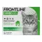 FRONTLINE COMBO SPOT ON Kot, 6 szt
