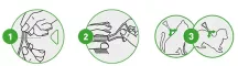 Instructions for use for FRONTLINE COMBO SPOT ON Kot, 6 szt - 5