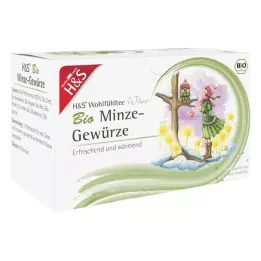 H&amp;S Winter Tea Organic Mint Spices Torebka filtrująca, 20X2,0 g