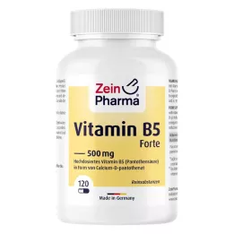 VITAMIN B5 PANTOTHENSÄURE 500 mg kapsułki, 120 szt