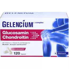 GELENCIUM Glukozamina Chondroityna w wysokiej dawce Vit C Kps, 120 szt