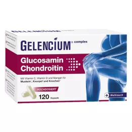 GELENCIUM Glukozamina Chondroityna w wysokiej dawce Vit C Kps, 120 szt
